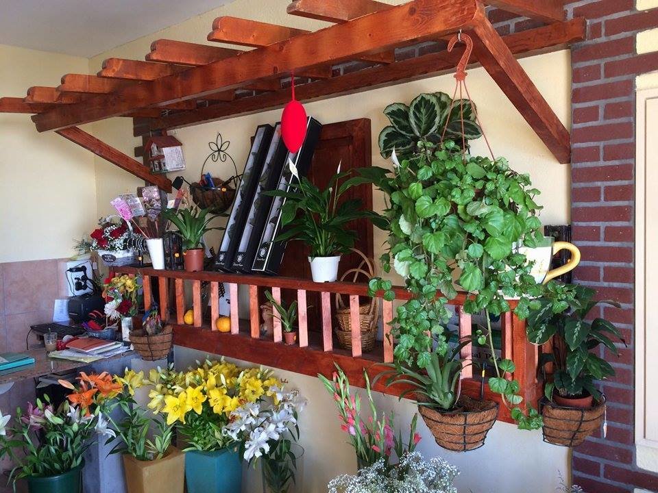 Floristería Marco 3