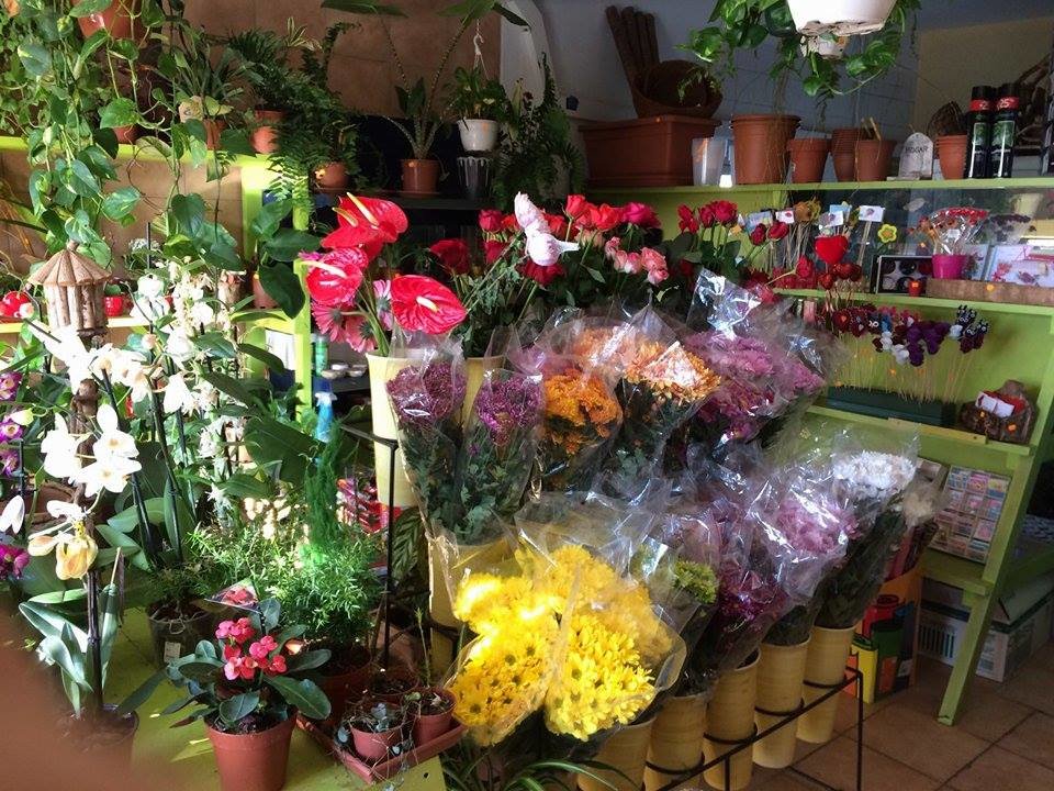 Floristería Marco 4