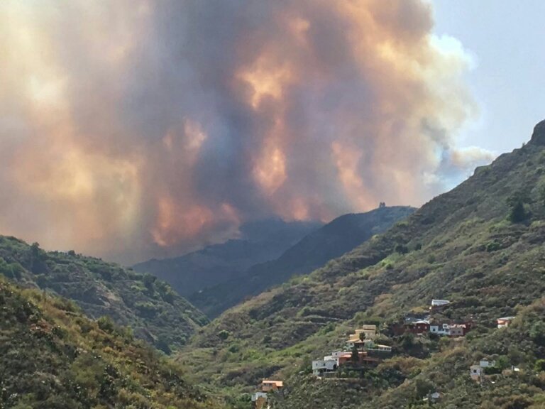 Incendio en la Cumbre de Gran Canaria 2
