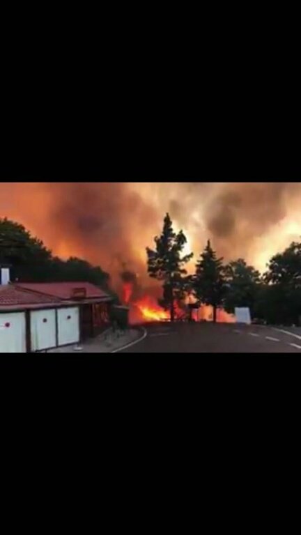 Incendio en la Cumbre de Gran Canaria