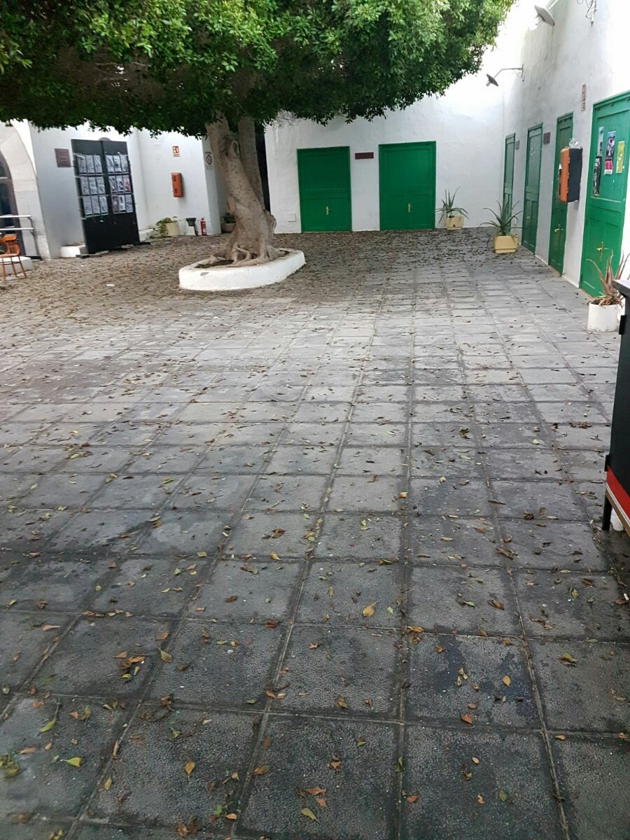 Estado de La Recoba 5