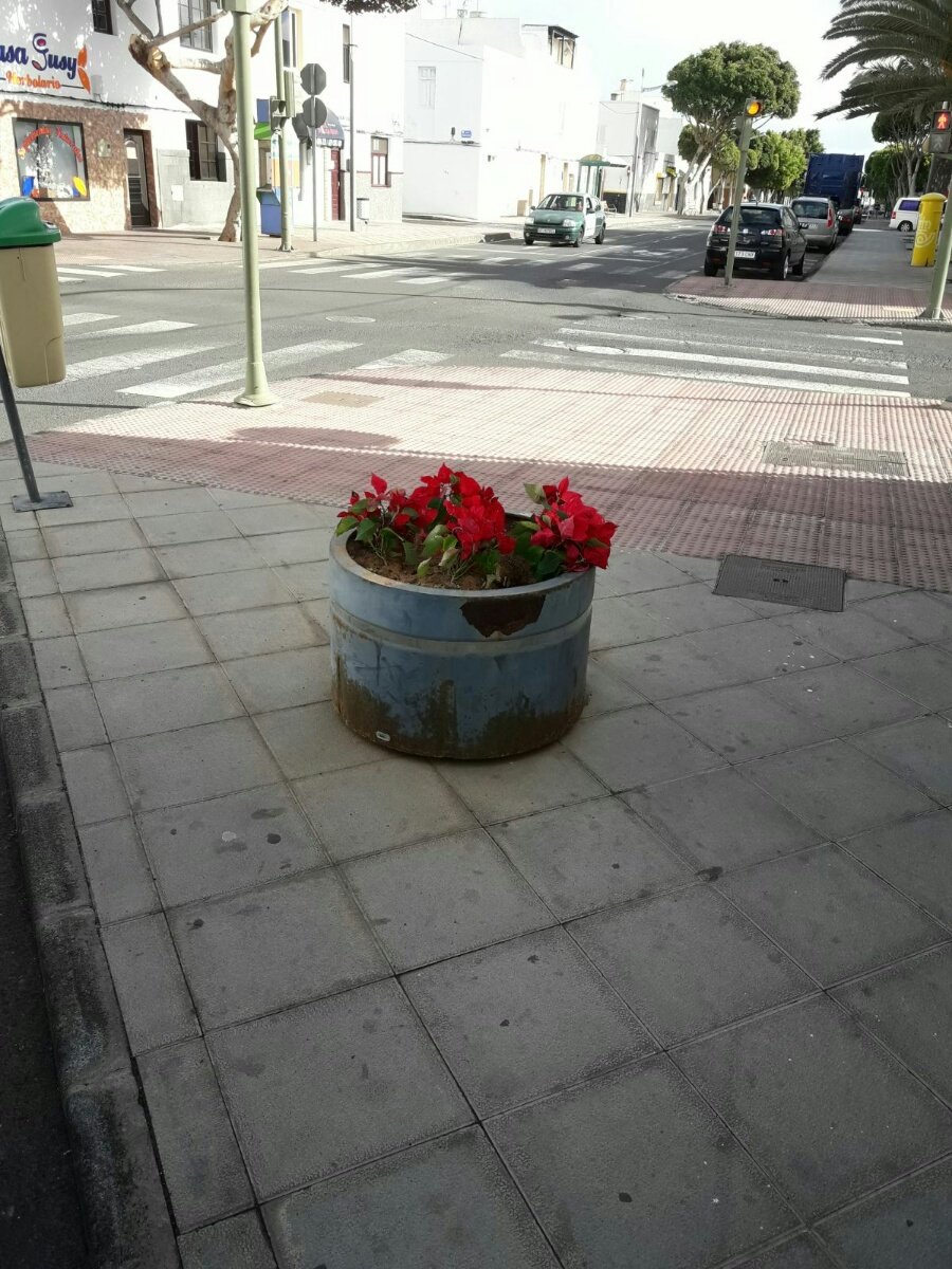 Maceteros con flores de pascua 2
