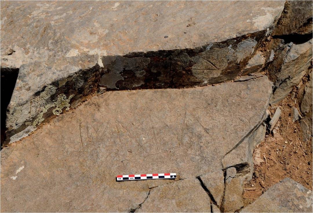 Estación rupestre de Cueva Paloma 3
