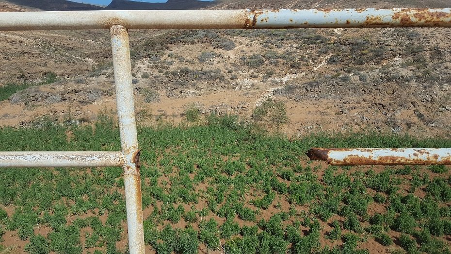 Falta de seguridad en la Presa de Mala 4 d