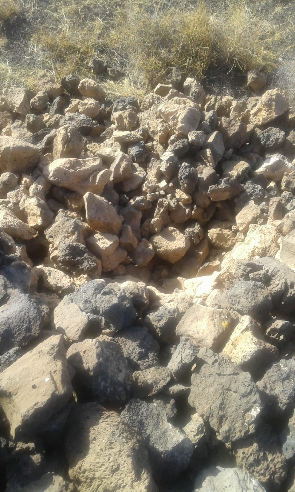 Destrozos causados por los cazadores