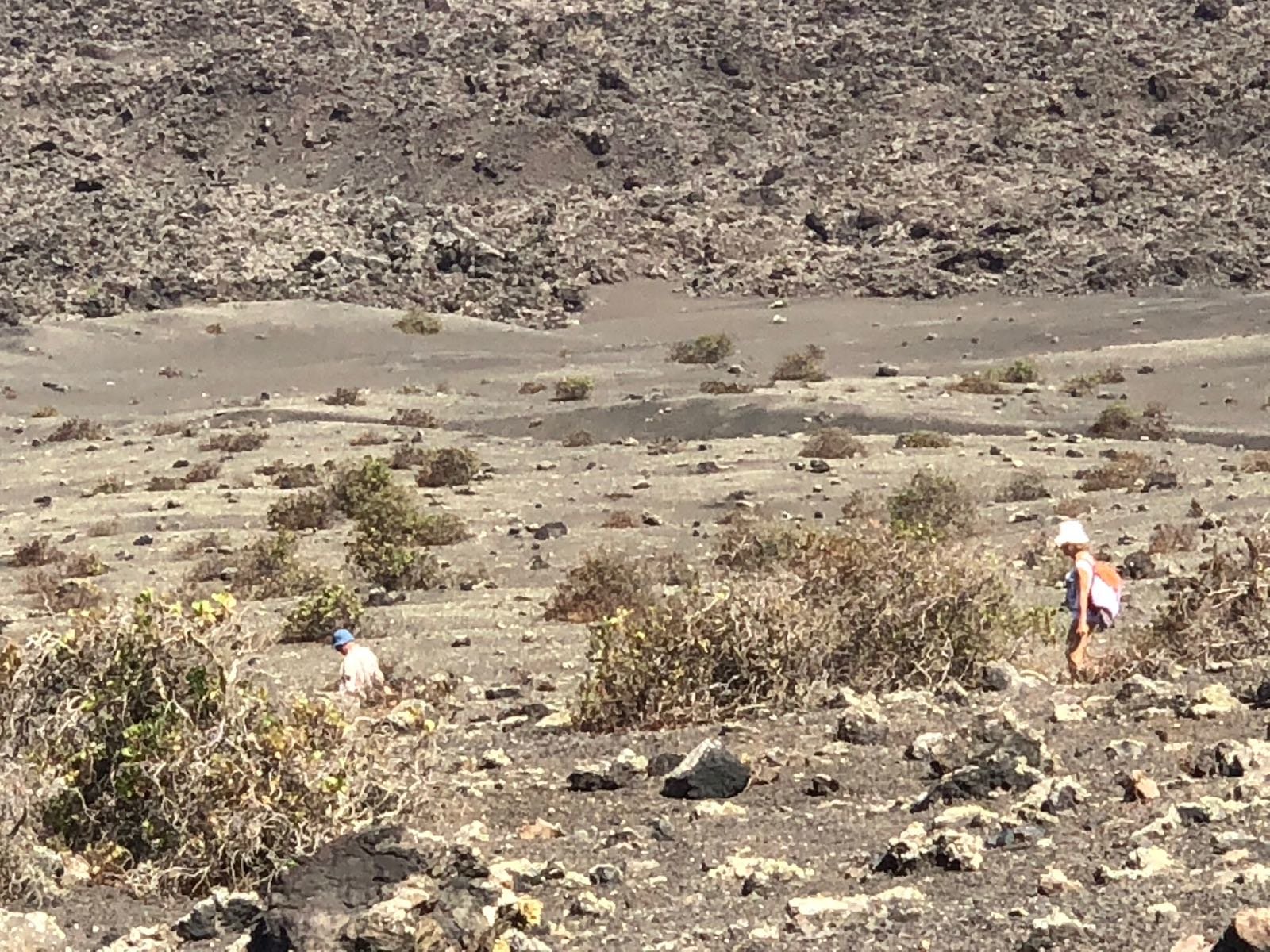 Abandono del medio ambiente lanzaroteño