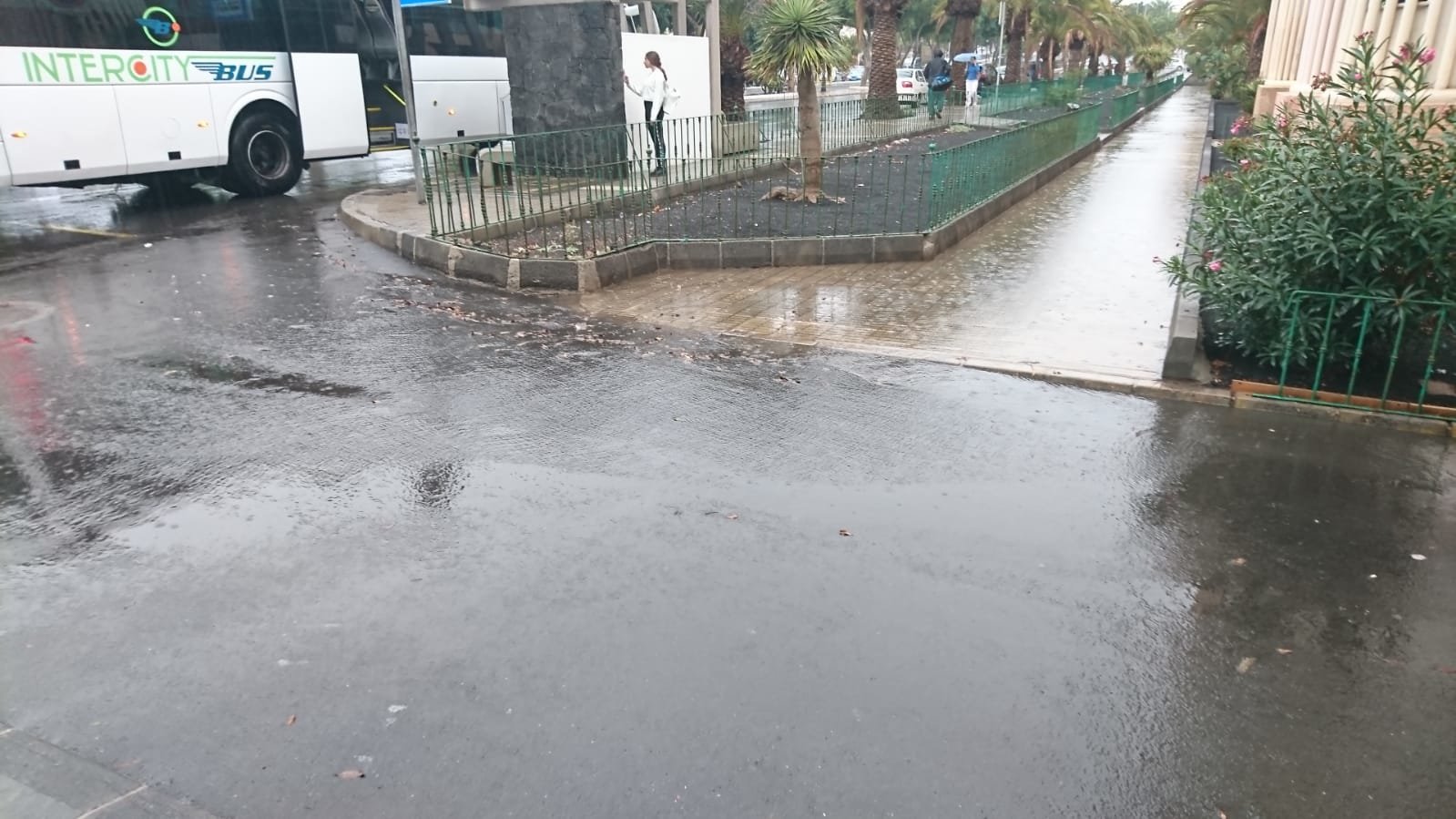 Lluvias en la isla 6