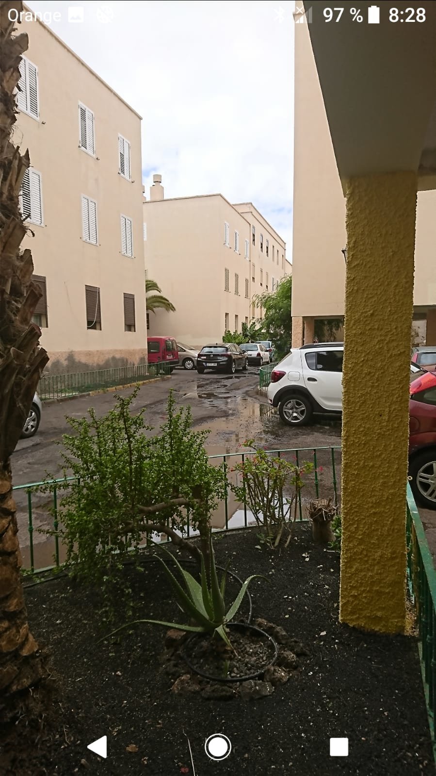 Los Alonso llenos de aguas fecales 3