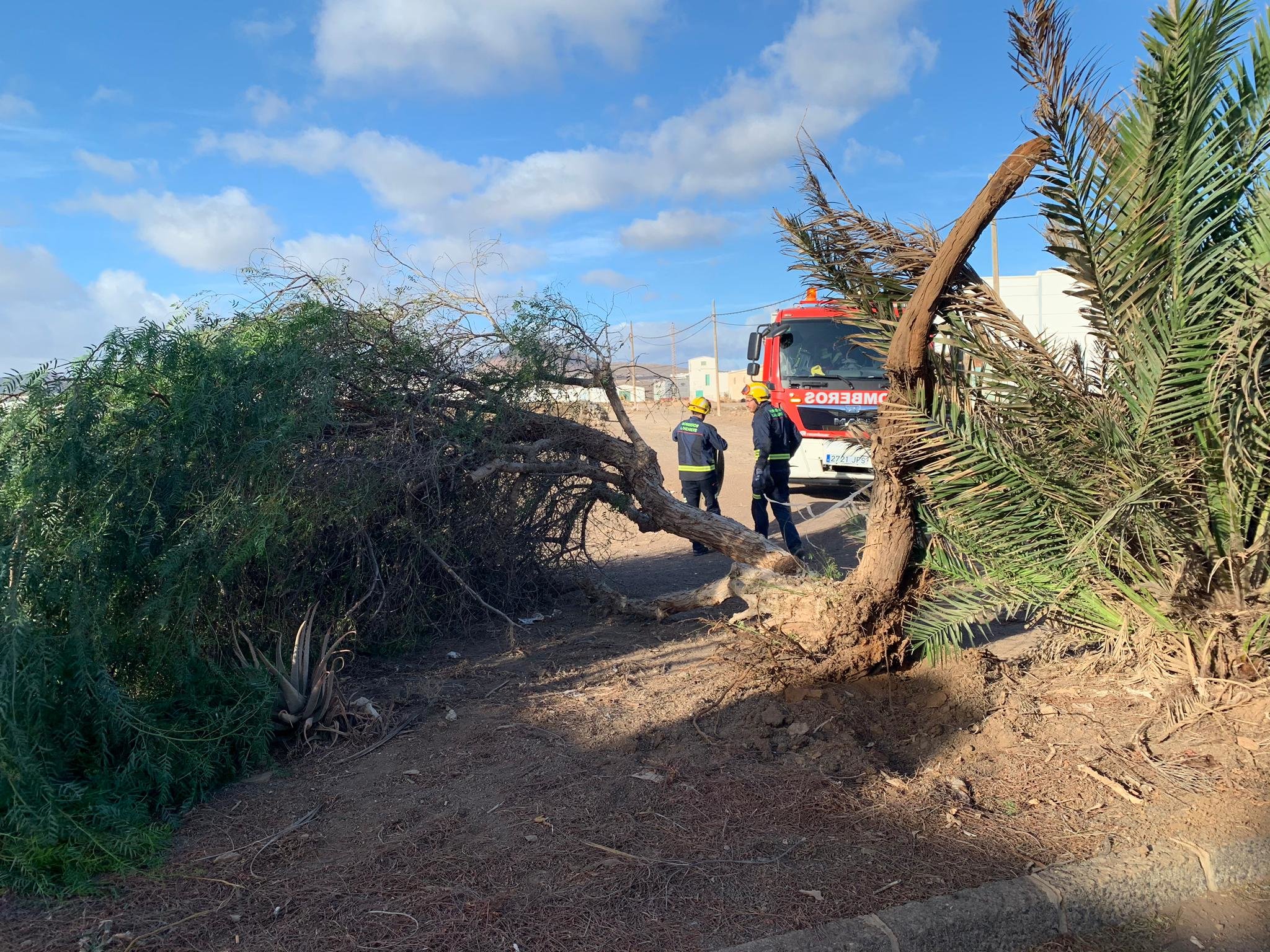 Temporal de viento Arrecife
