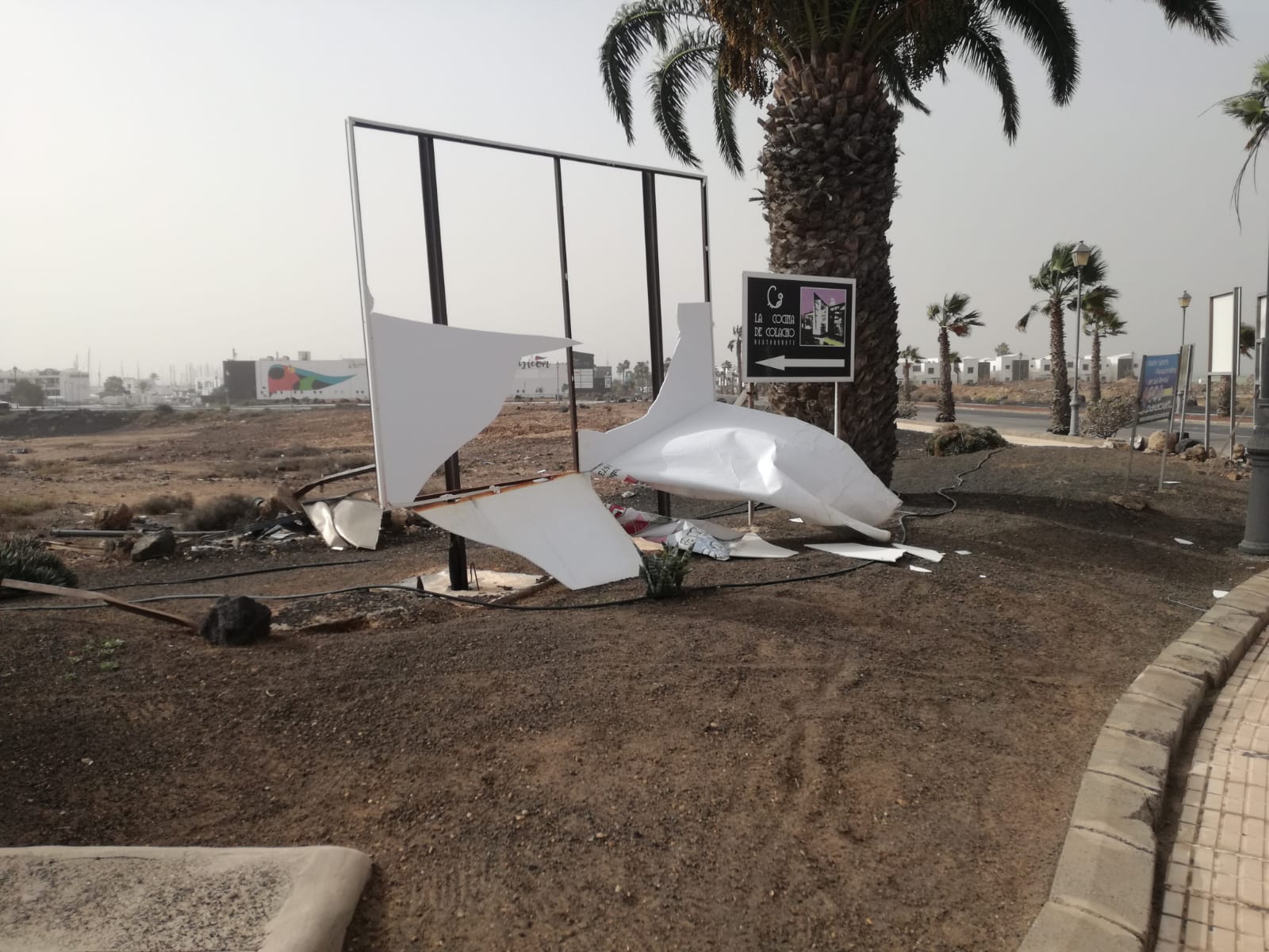 Incidencias del temporal de viento 6