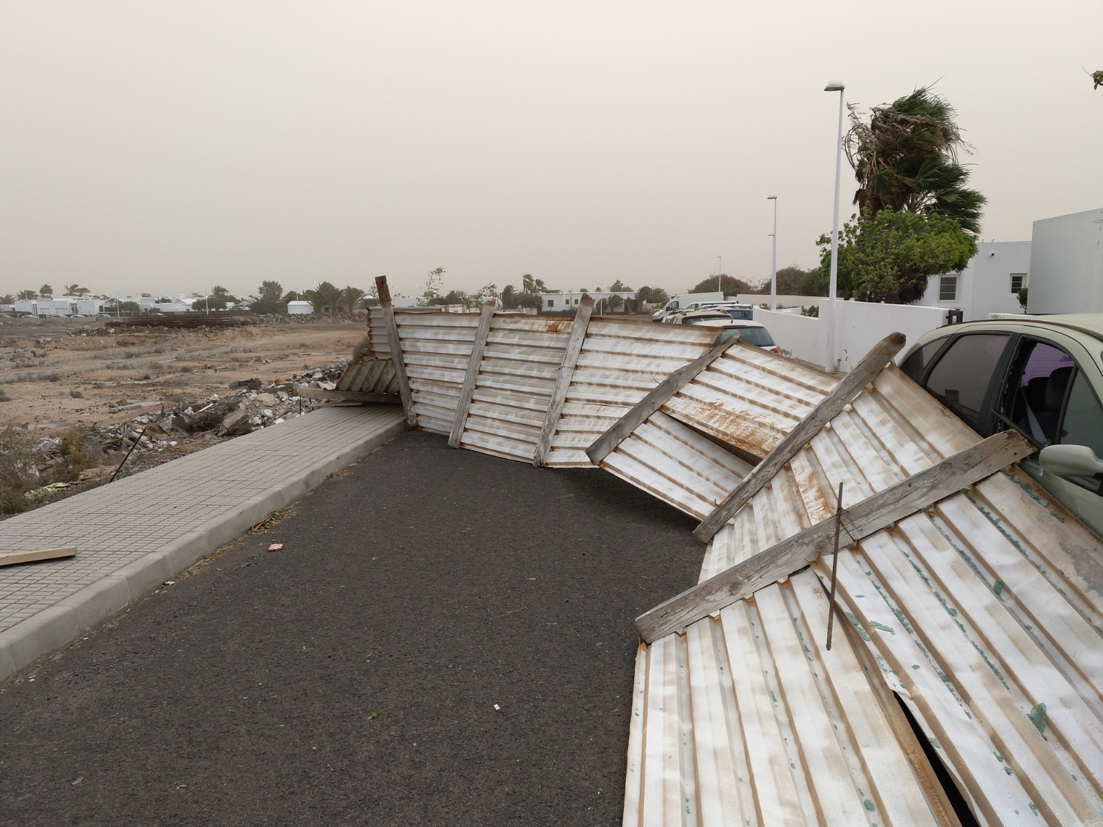 Las incidencias del temporal de viento 9