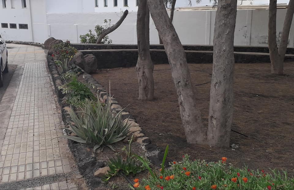 Roban plantas en parterres de Titerroy 3
