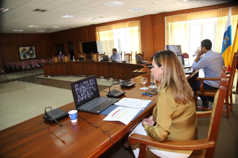 Pleno del Cabildo en Estado de Alarma 2