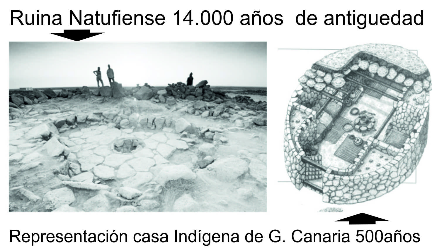 VIVIENDAS SIMILARES