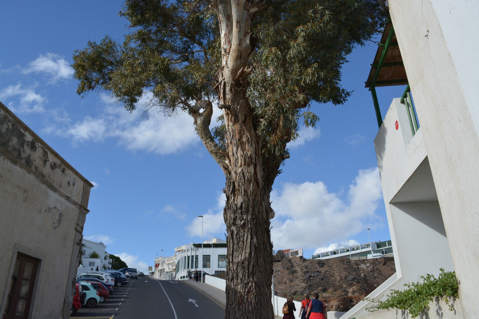 calle roque nublo 1