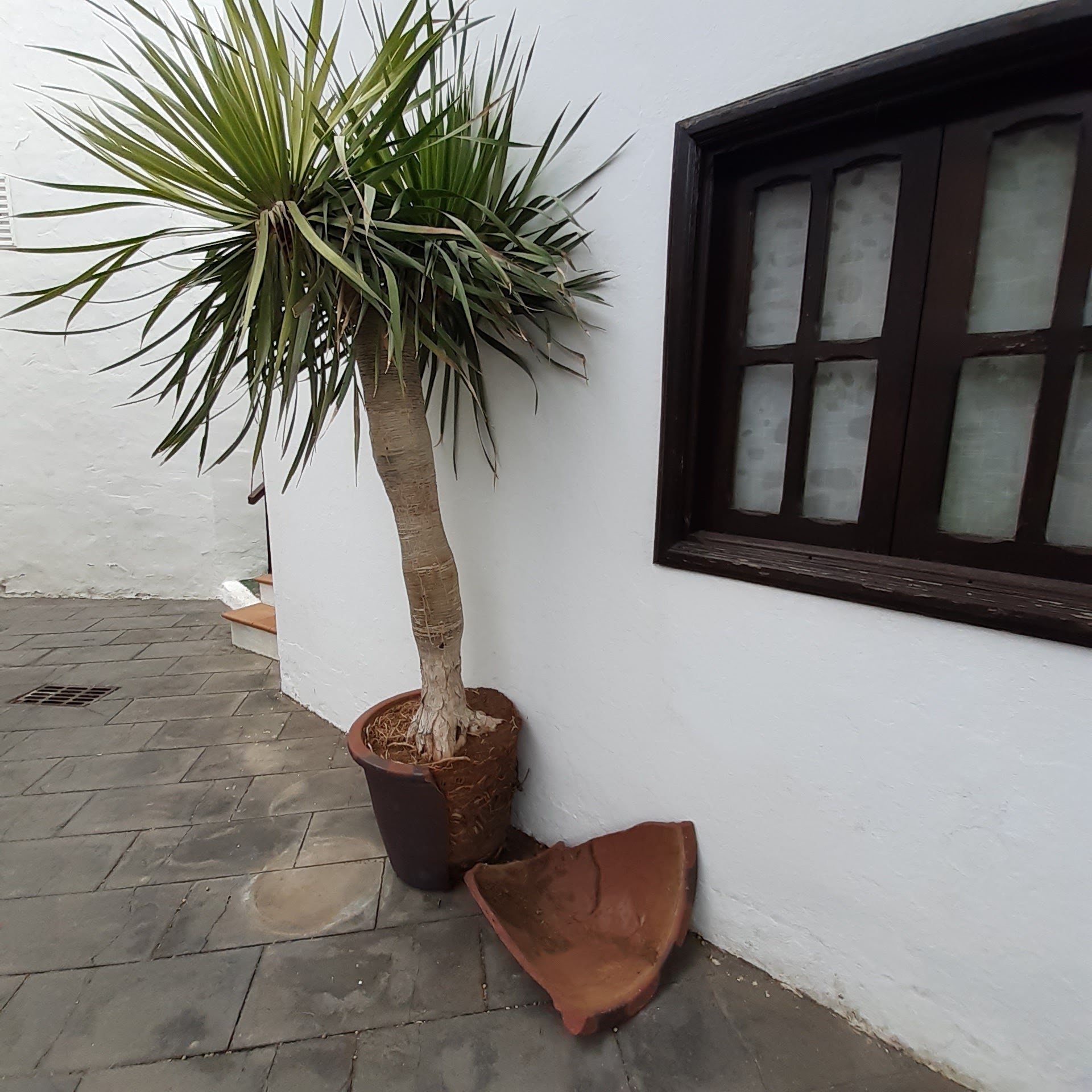 Maceta rota en El Aguaresío