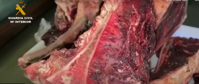 Carne no apta para consumo humano