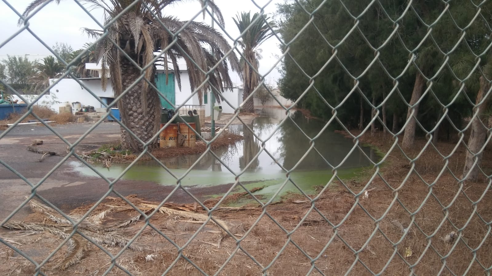 Riada de aguas residuales en la depuradora de Argana 3