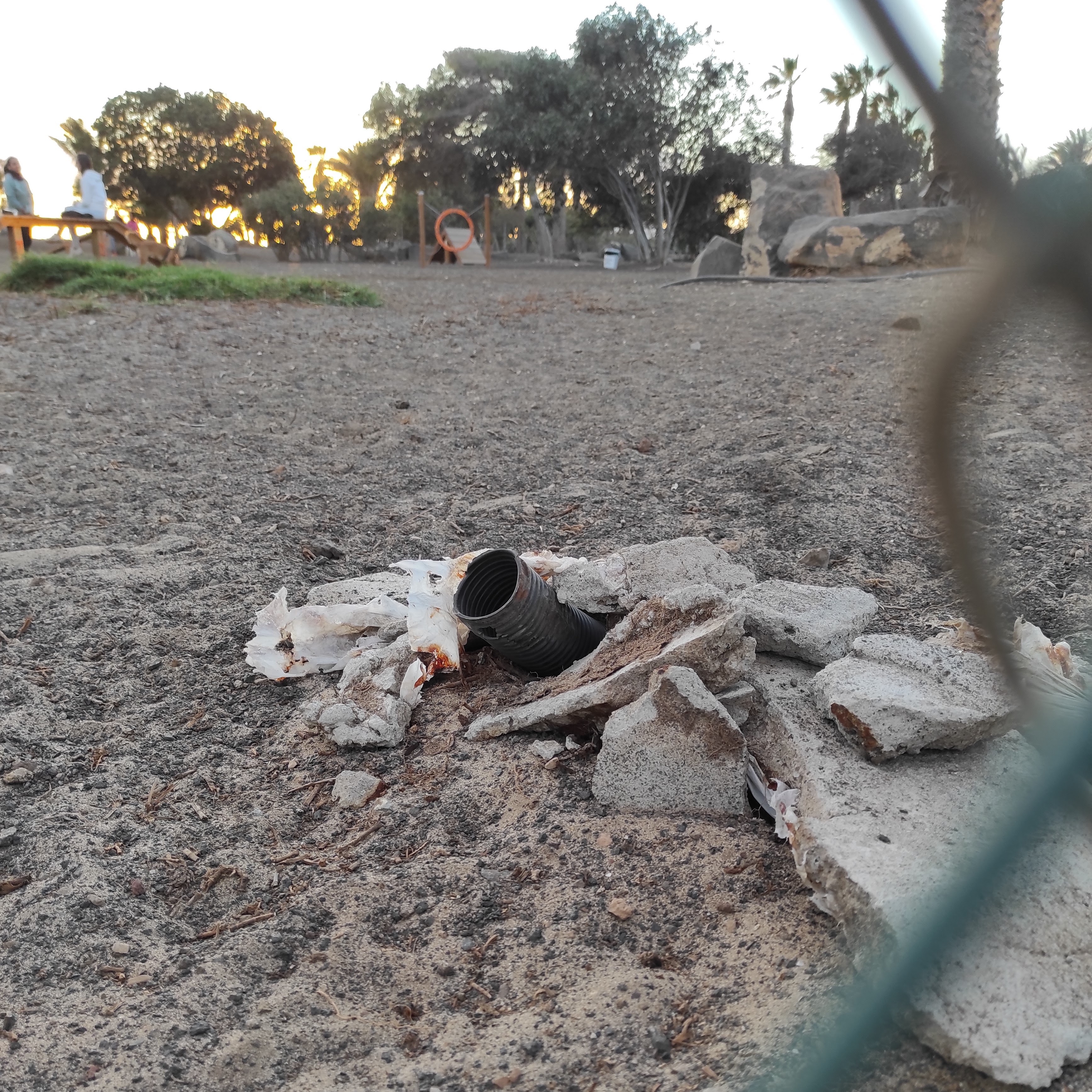 lanzaroteenpie_arrecife_parque_canino (4)