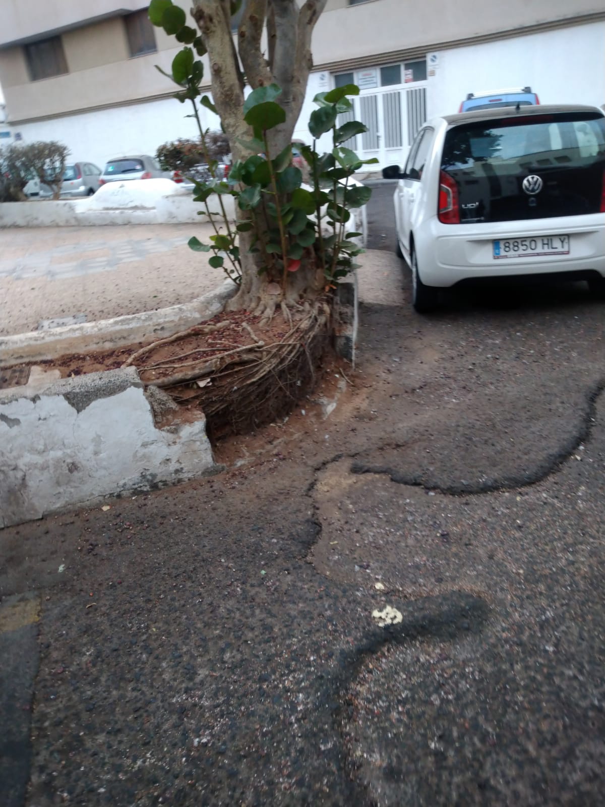 Calle Pedro Alcántara 2