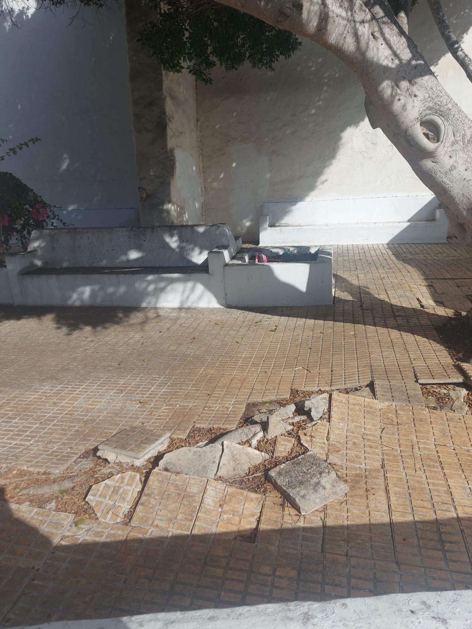teguise abandonada (2)