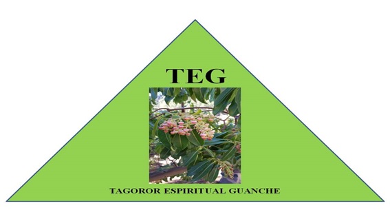 TEG 2