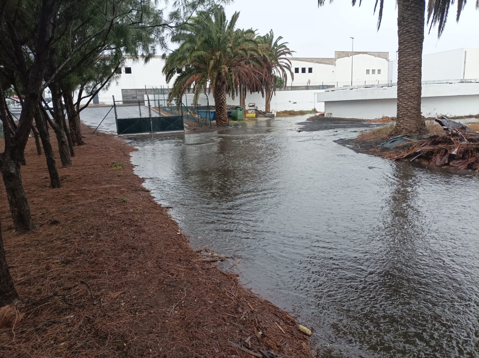 Arrecife pasado por agua 10