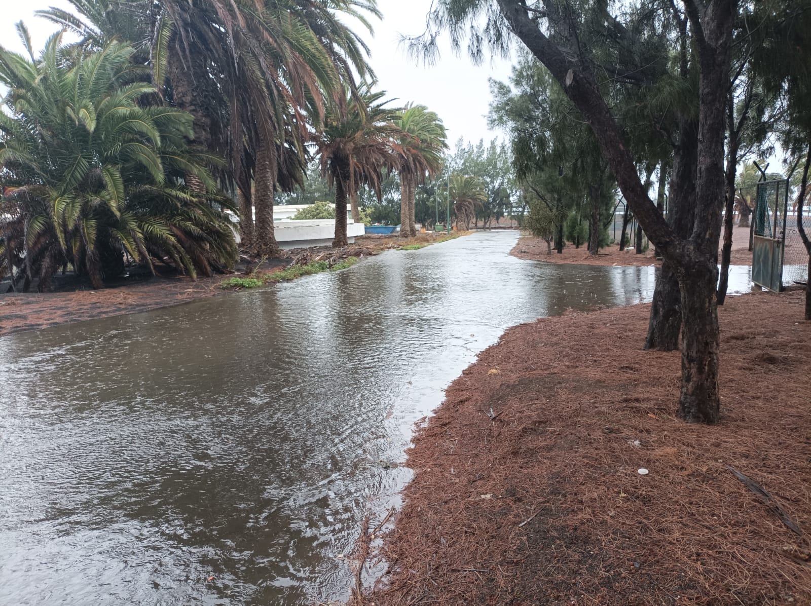 Arrecife pasado por agua 11