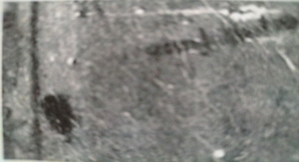 Fotografía del original del Mapa Náutico 4