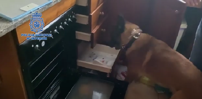 El perro encontró droga en la cocina