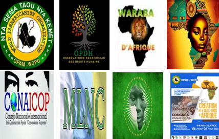 8 organizaciones panafricanistas firmantes