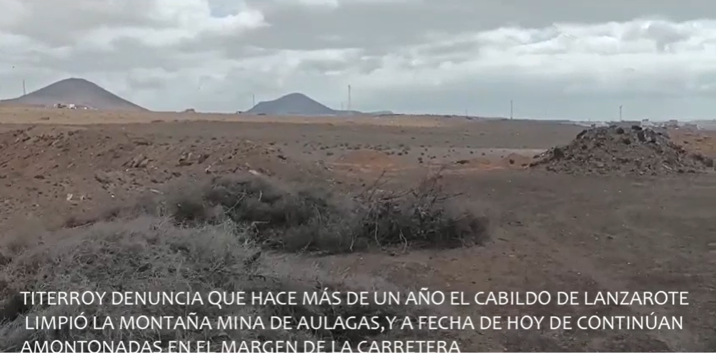 Aulagas amontonadas junto a la carretera