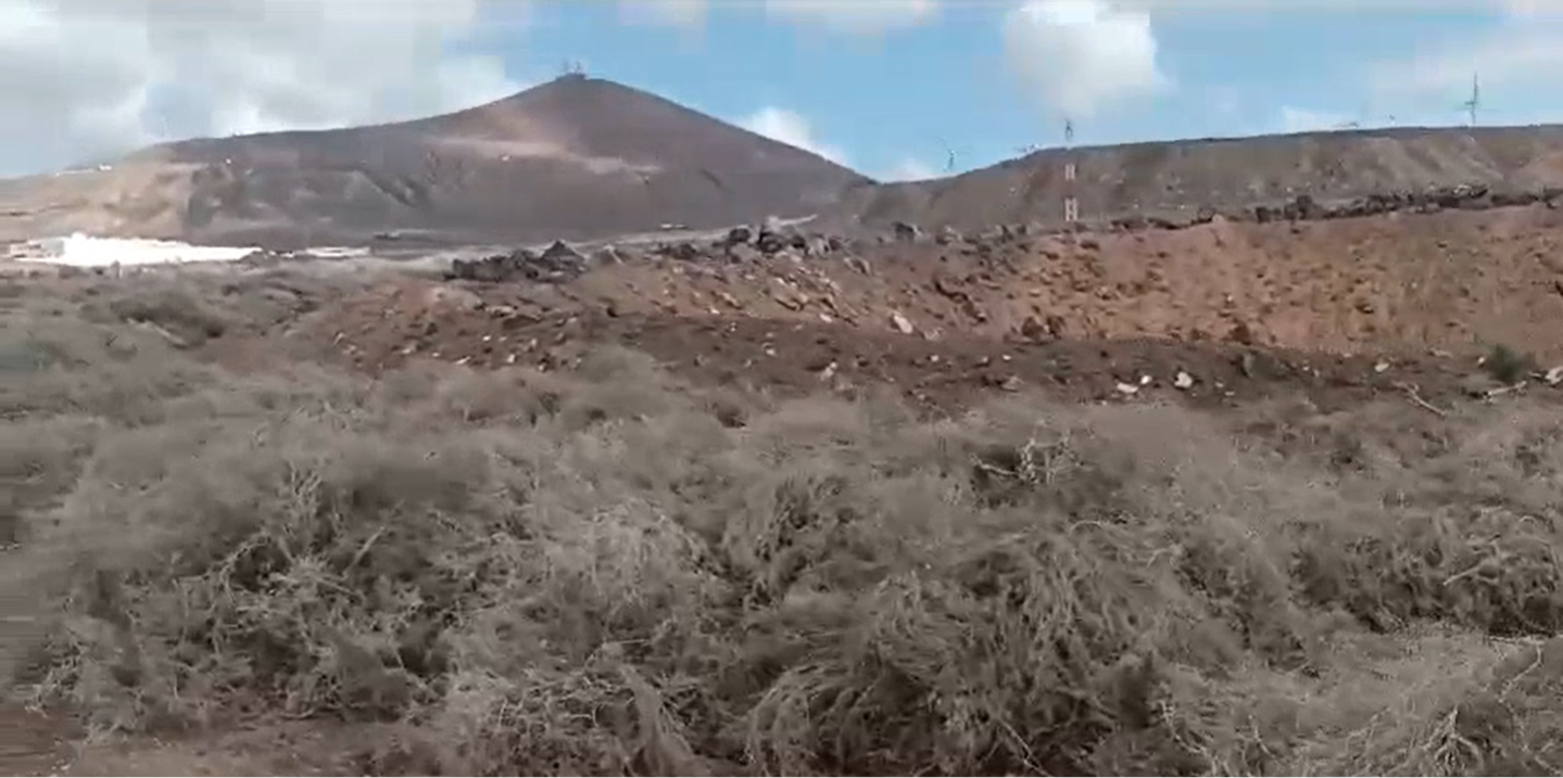 Aulagas amontonadas