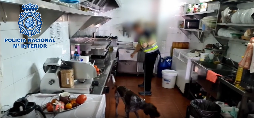 Registro con el perro de la Policía