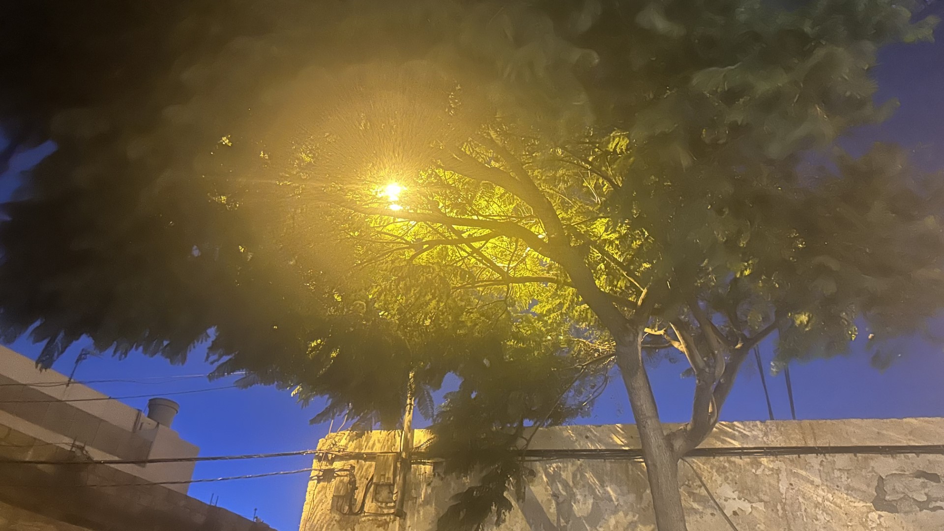 ramas tapan las farolas en titerroy