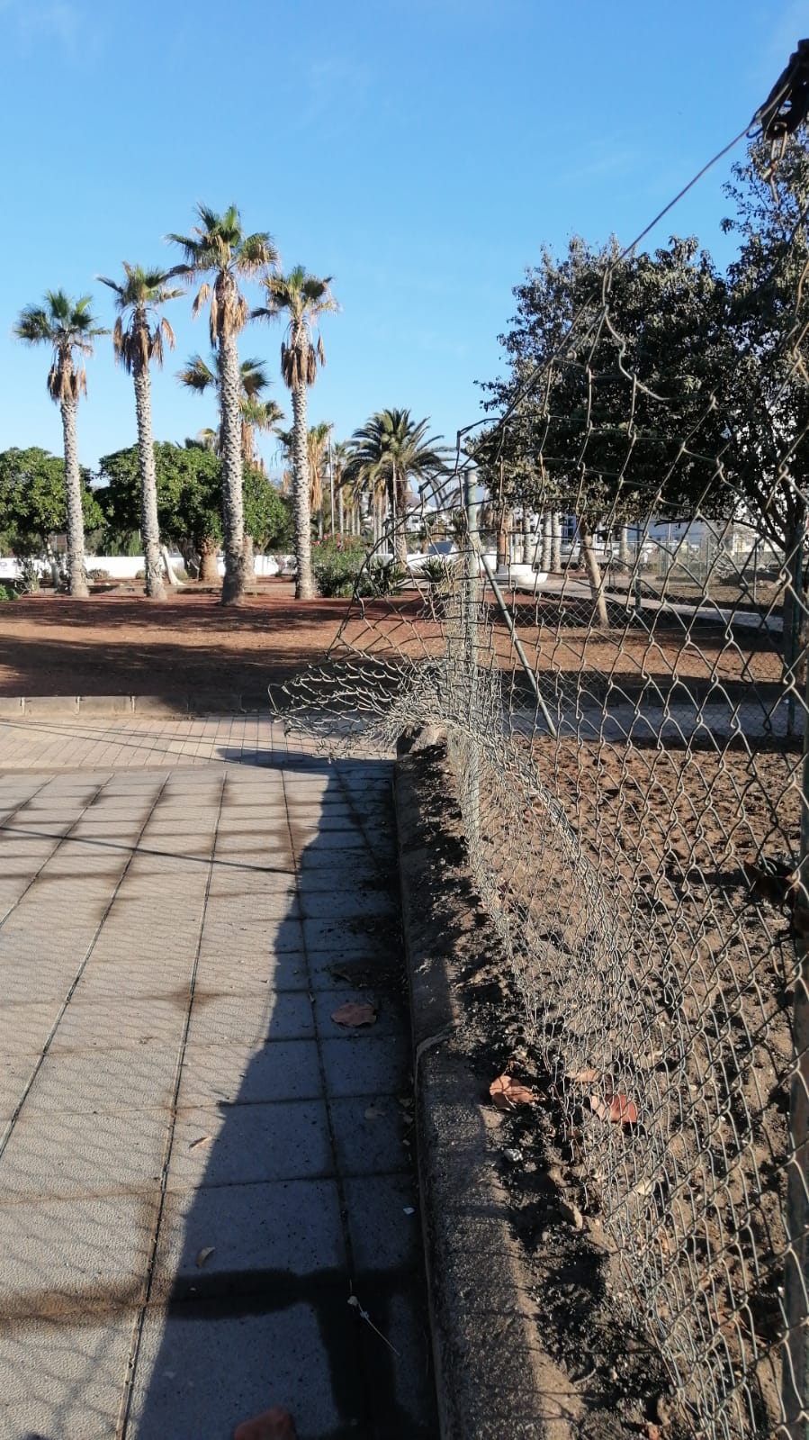 Vandalismo en el recinto de los perros 3
