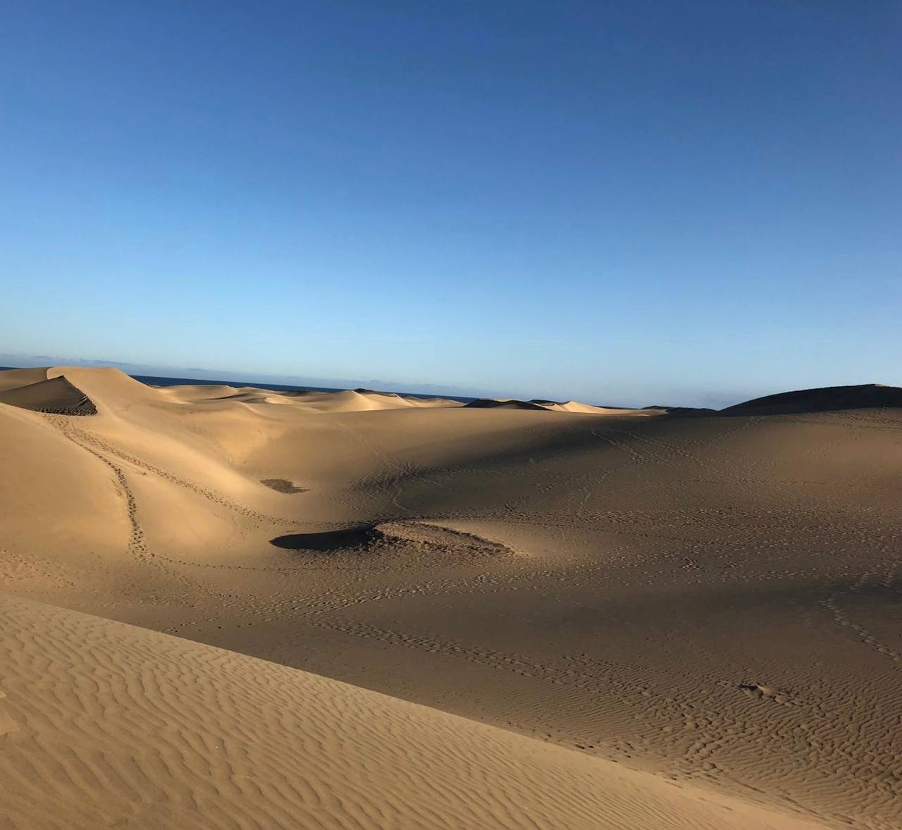 Dunas de Maspalomas 1