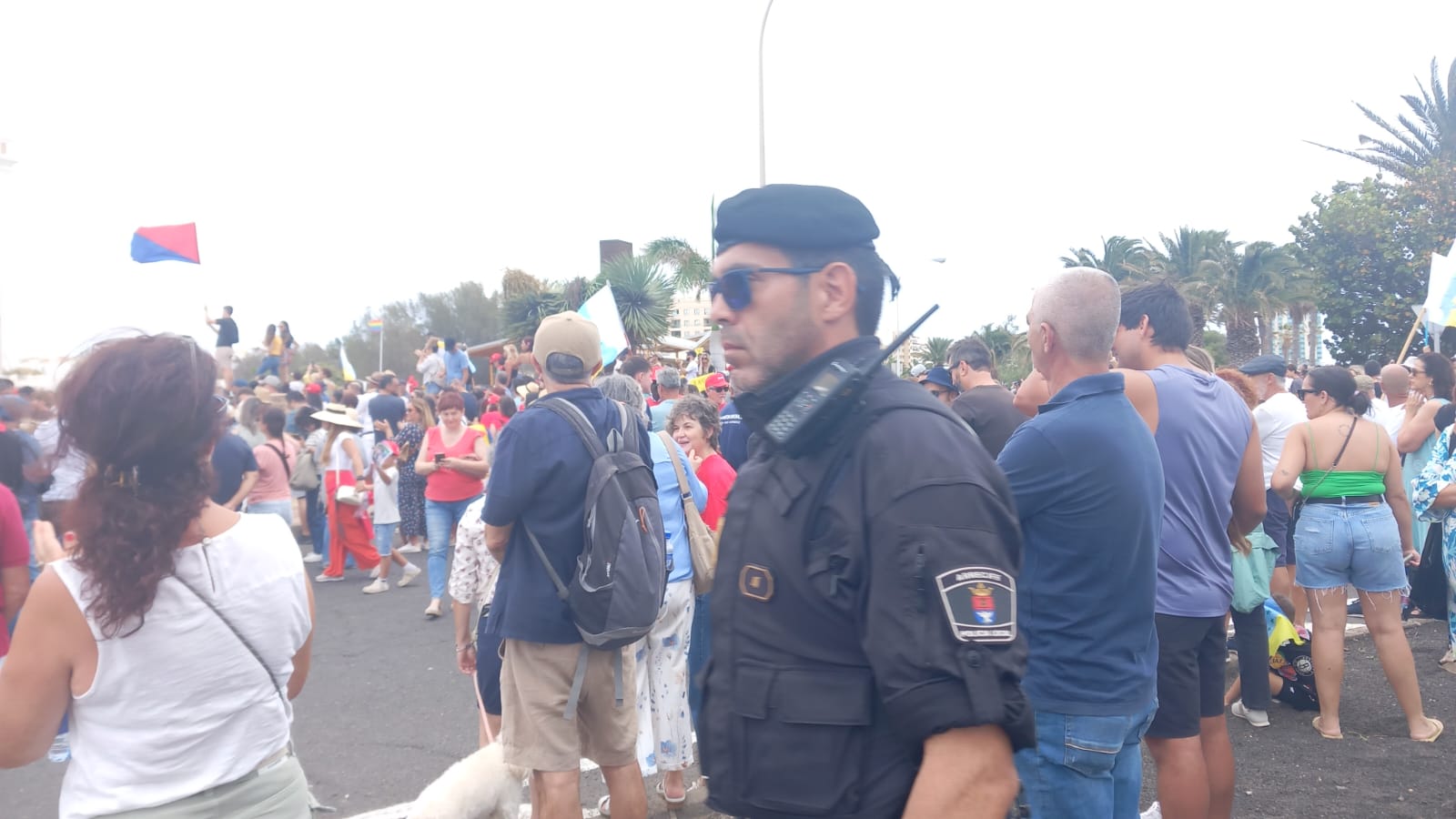 Manifestación del 20A 3