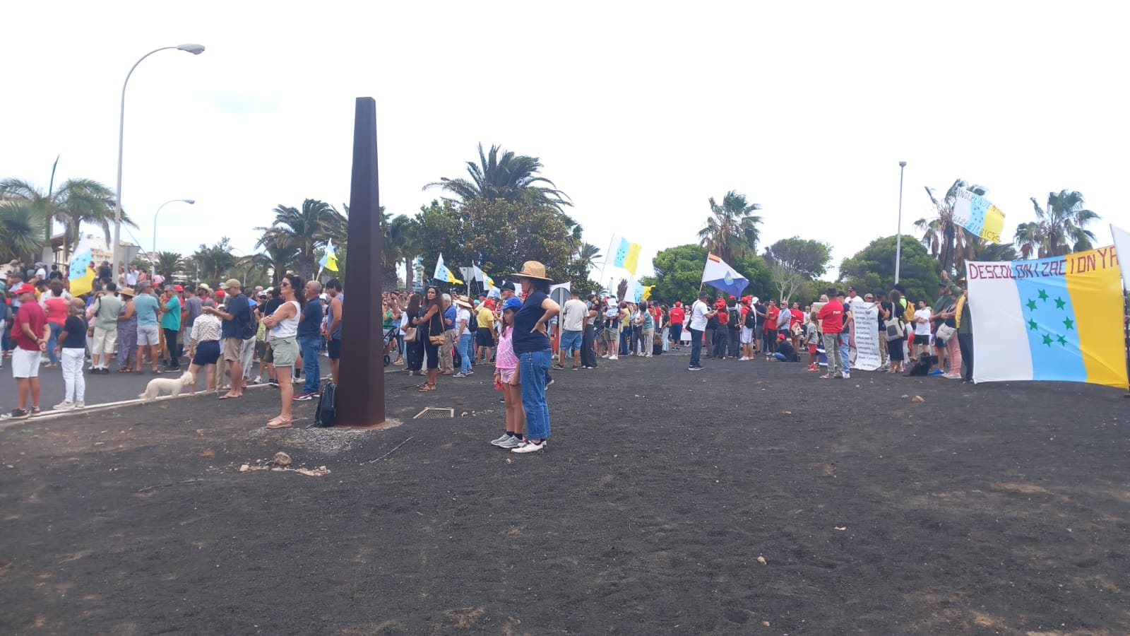 Manifestación del 20A 6