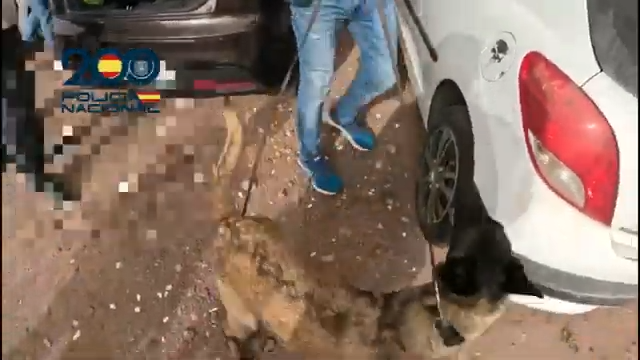 Perro antidroga de la Policía