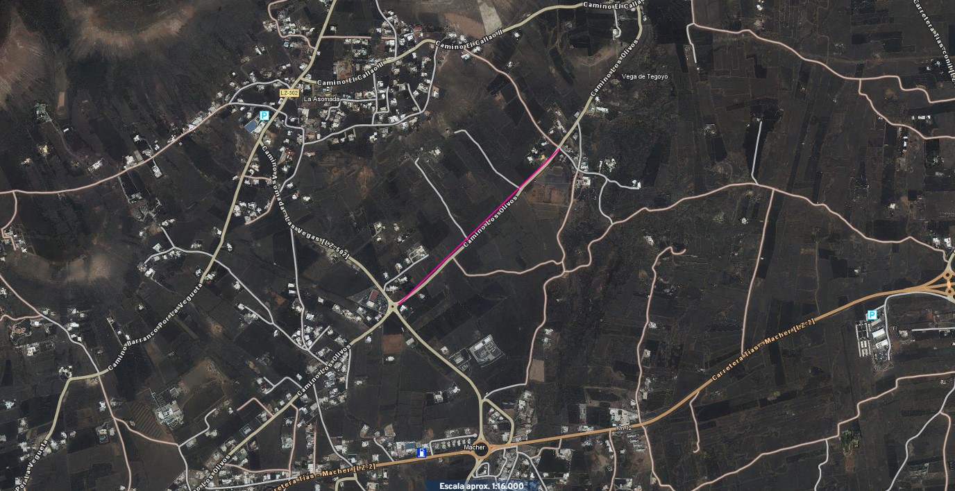 obras Camino Los Olivos Tegoyo