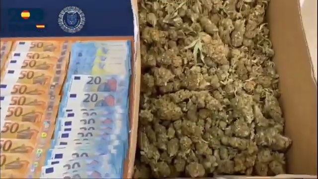 Marihuana incautada