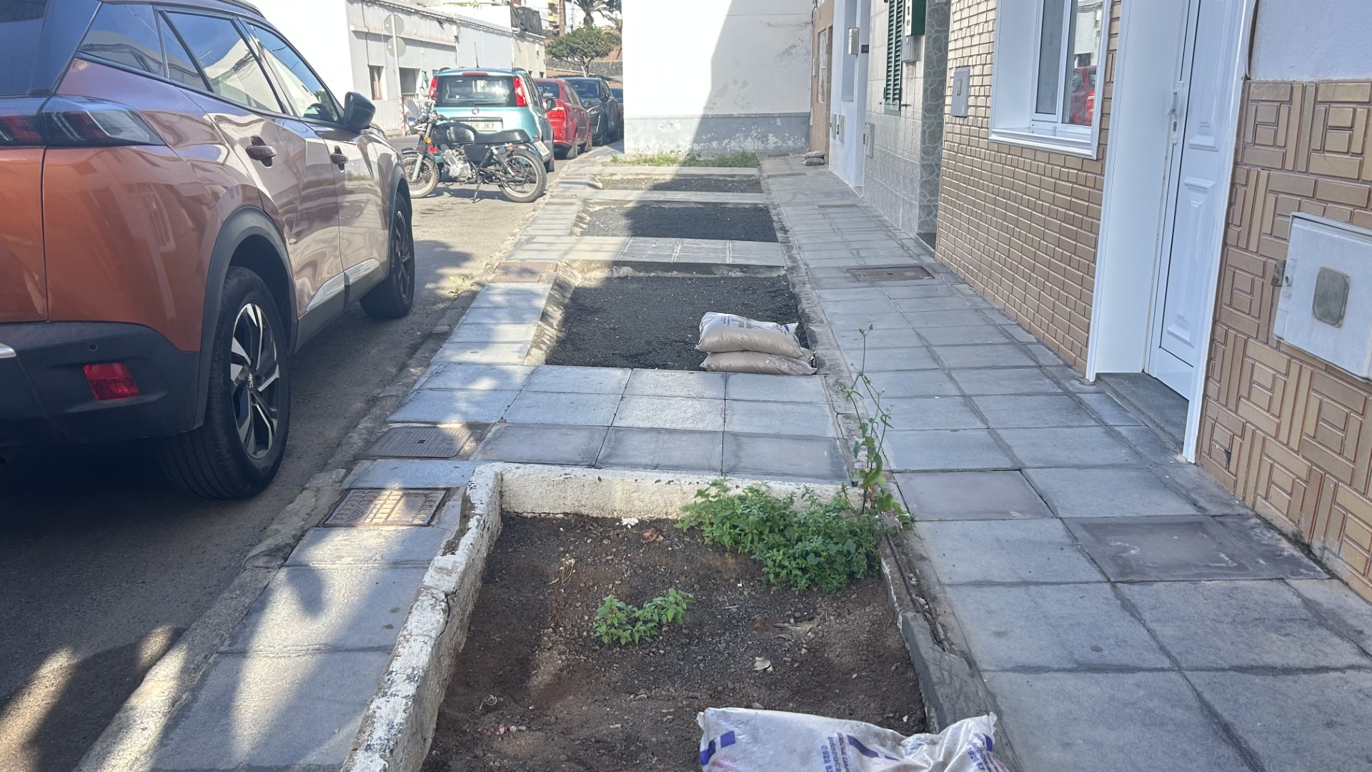 Descuido de zonas verdes y falta de árboles