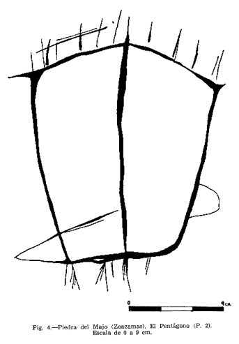 Calco podomorfo