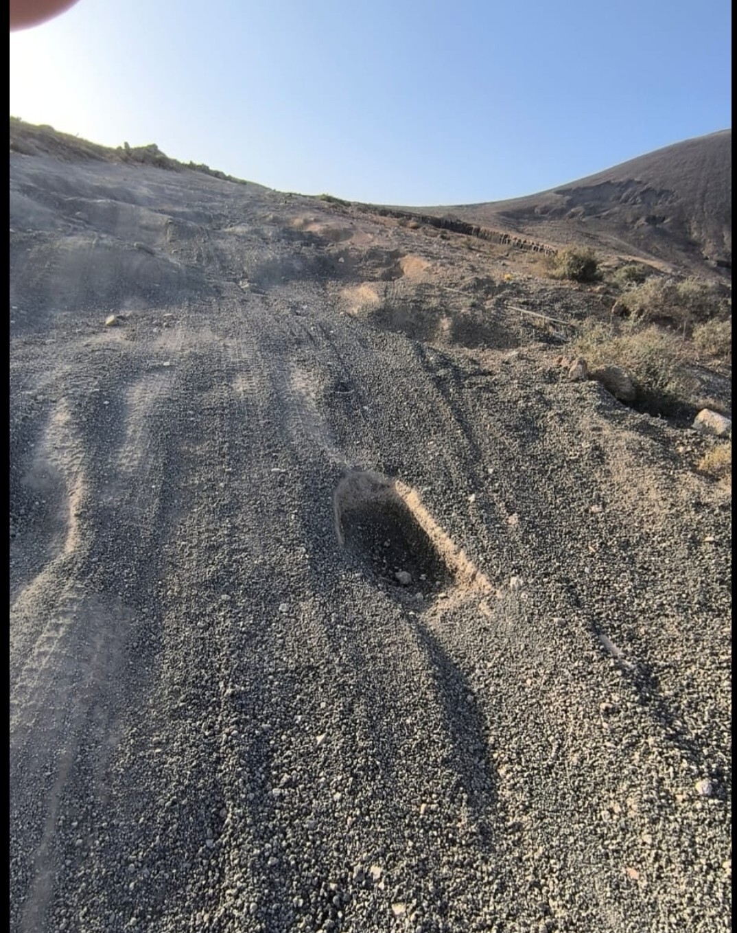 Buggies y quads 3