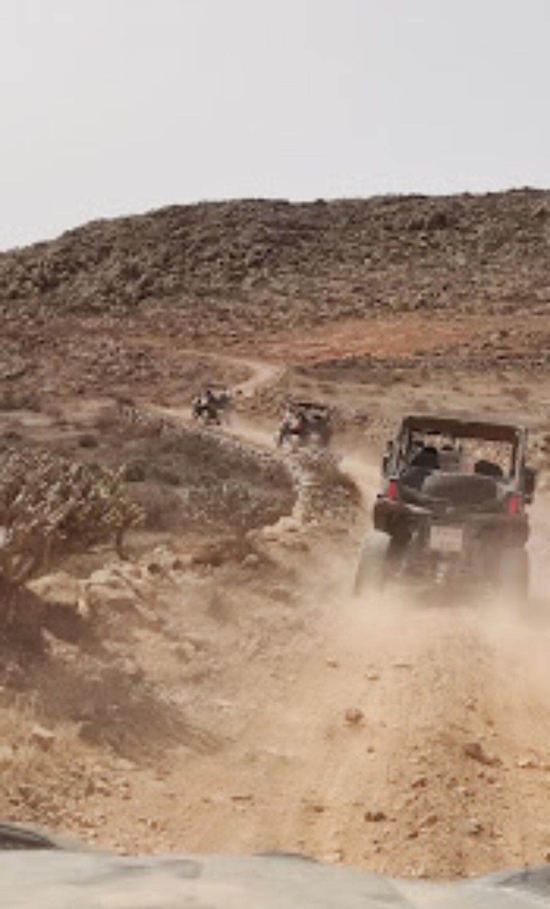 Buggies y quads 4