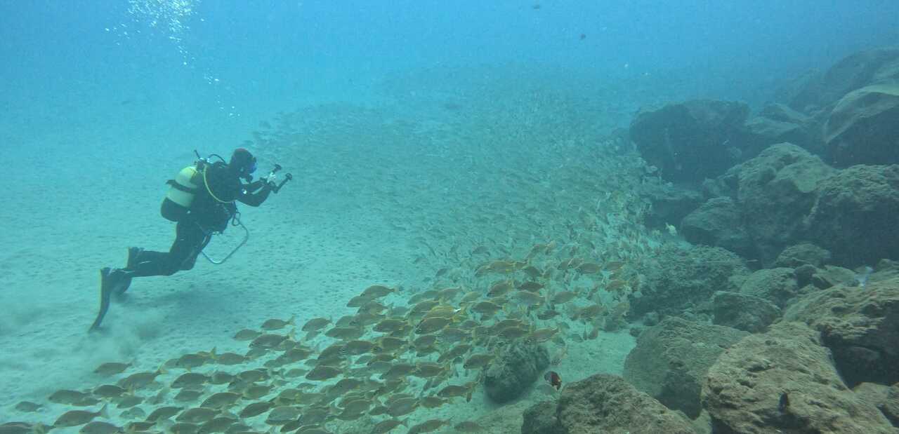 4. Imagen de toma de muestras submarinas por parte del equipo del proyecto AMPLÍA 2