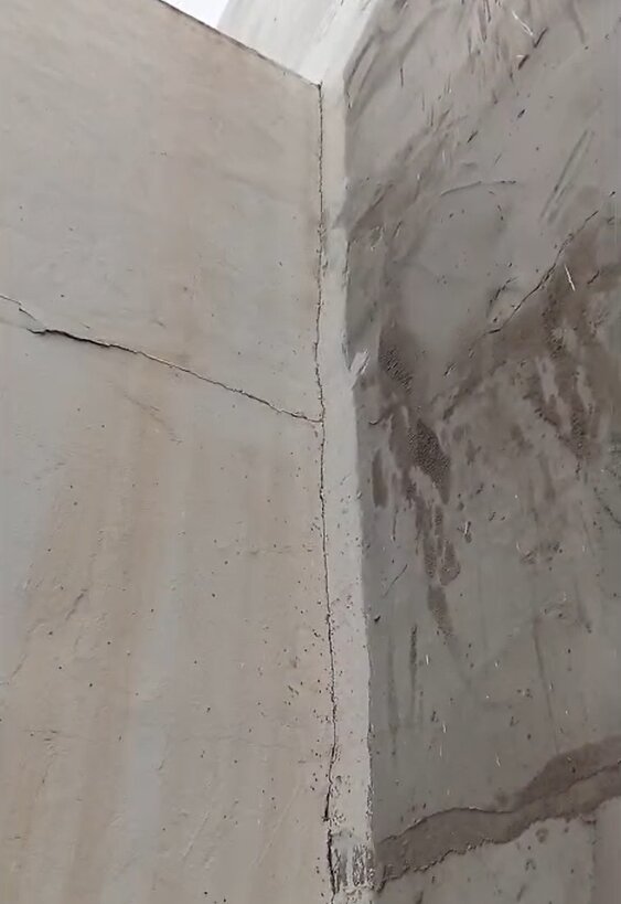 Hilera de insectos subiendo por la pared 3
